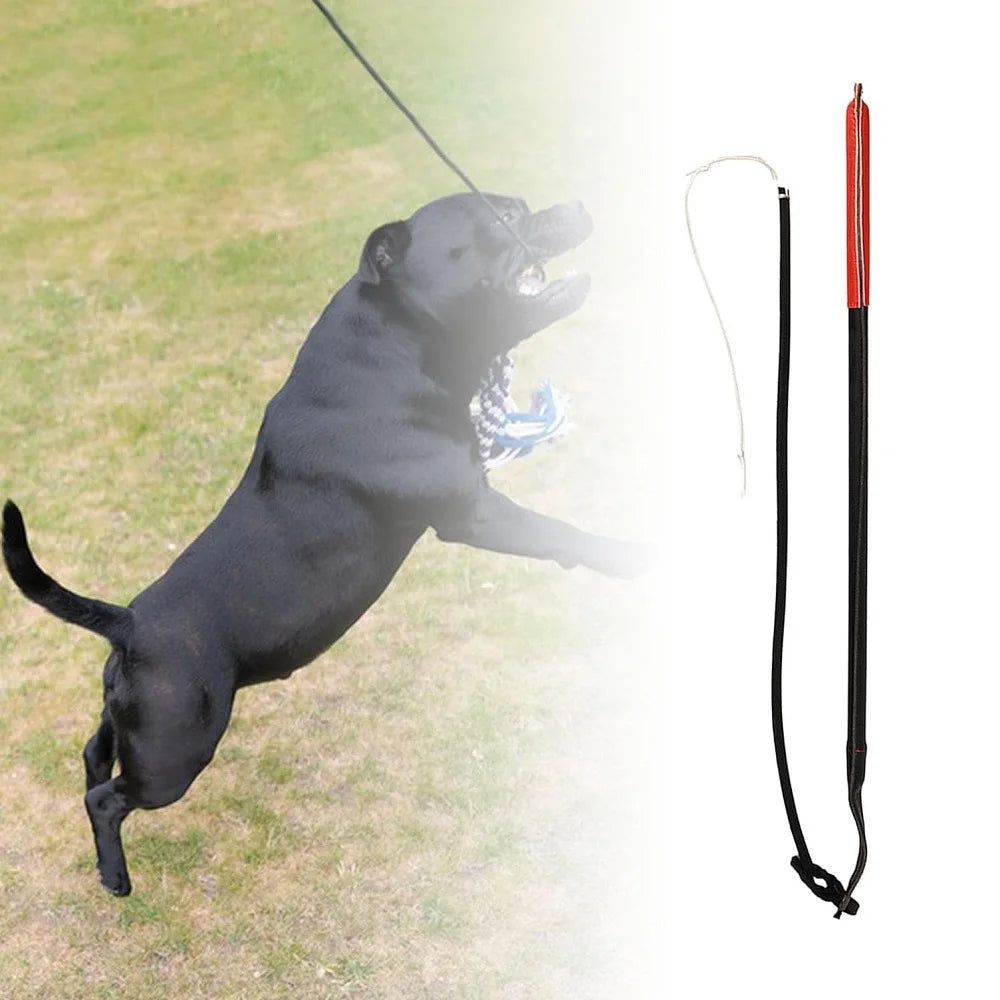 Leather Dog Protection Training Whip, Agitation Whip Pet Exercise Tool for Outdoor Medium Large Dogs