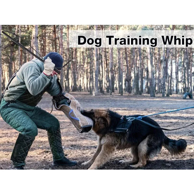 Leather Dog Protection Training Whip, Agitation Whip Pet Exercise Tool for Outdoor Medium Large Dogs