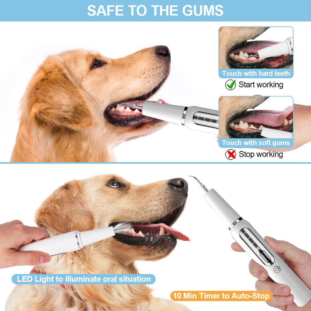 Dog Tooth Calculus Device Ultrasonic Toothbrush Electric Pet Tooth Scaler Tooth Cleaning Tool Plaque Dog Cat Dental Care Kit