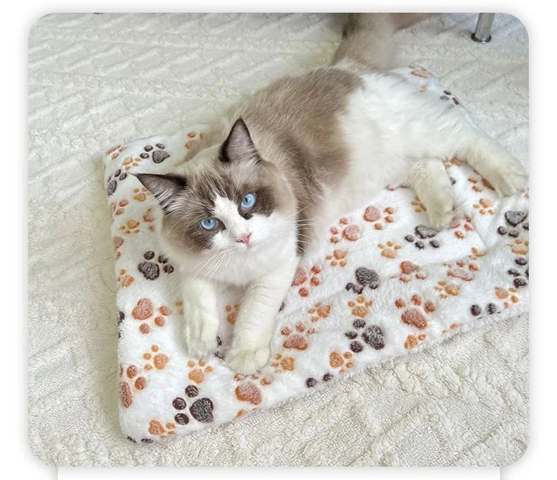 Flannel Pet Sleeping Mat Dog Bed Cat Litter Puppy Bed Dog Sofa Lovely Mattress Cushion for Small Large Dog Blanket Pet Supplies