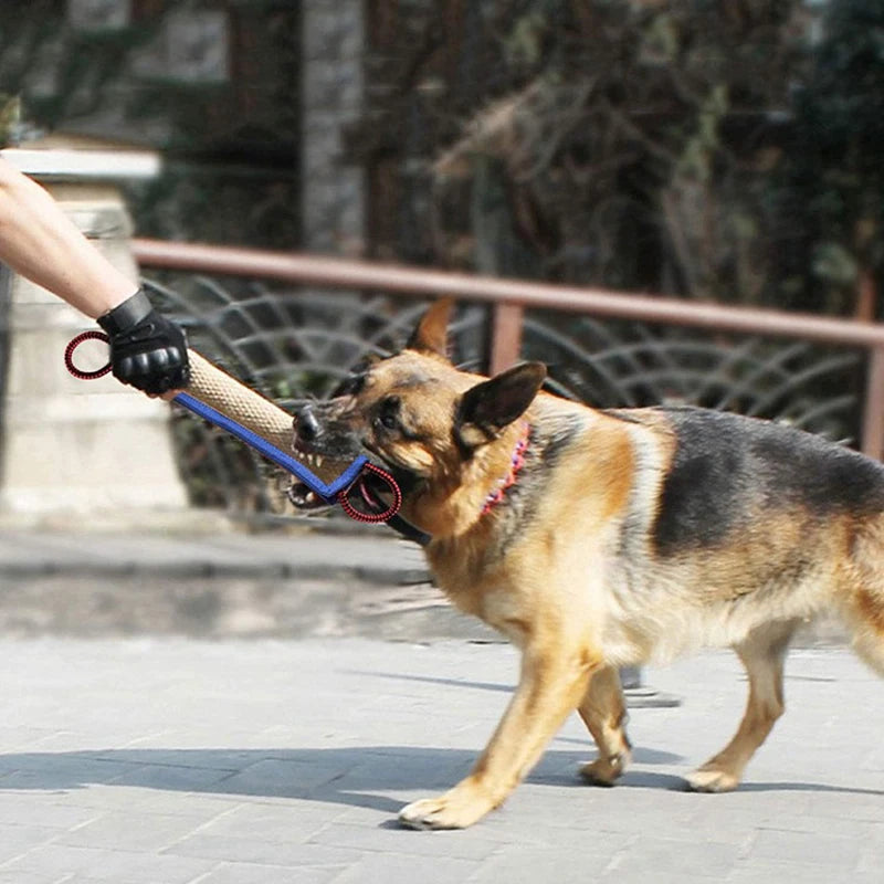 Training dogs to use coarse jute chew sticks to pick up molars, dog chew sticks, German shepherd dog chew pillows