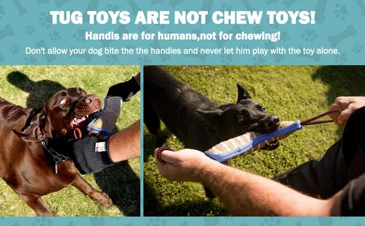 Training dogs to use coarse jute chew sticks to pick up molars, dog chew sticks, German shepherd dog chew pillows