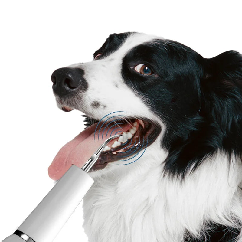 Dog Tooth Calculus Device Ultrasonic Toothbrush Electric Pet Tooth Scaler Tooth Cleaning Tool Plaque Dog Cat Dental Care Kit