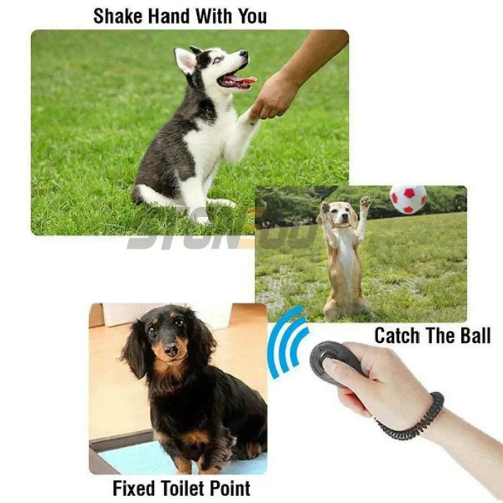 JJYY Solid Color Multifunctional Adjustable Pet Training Clicker Whistle Cat and Dog Trainer Clicker Wristband Sound Keychain