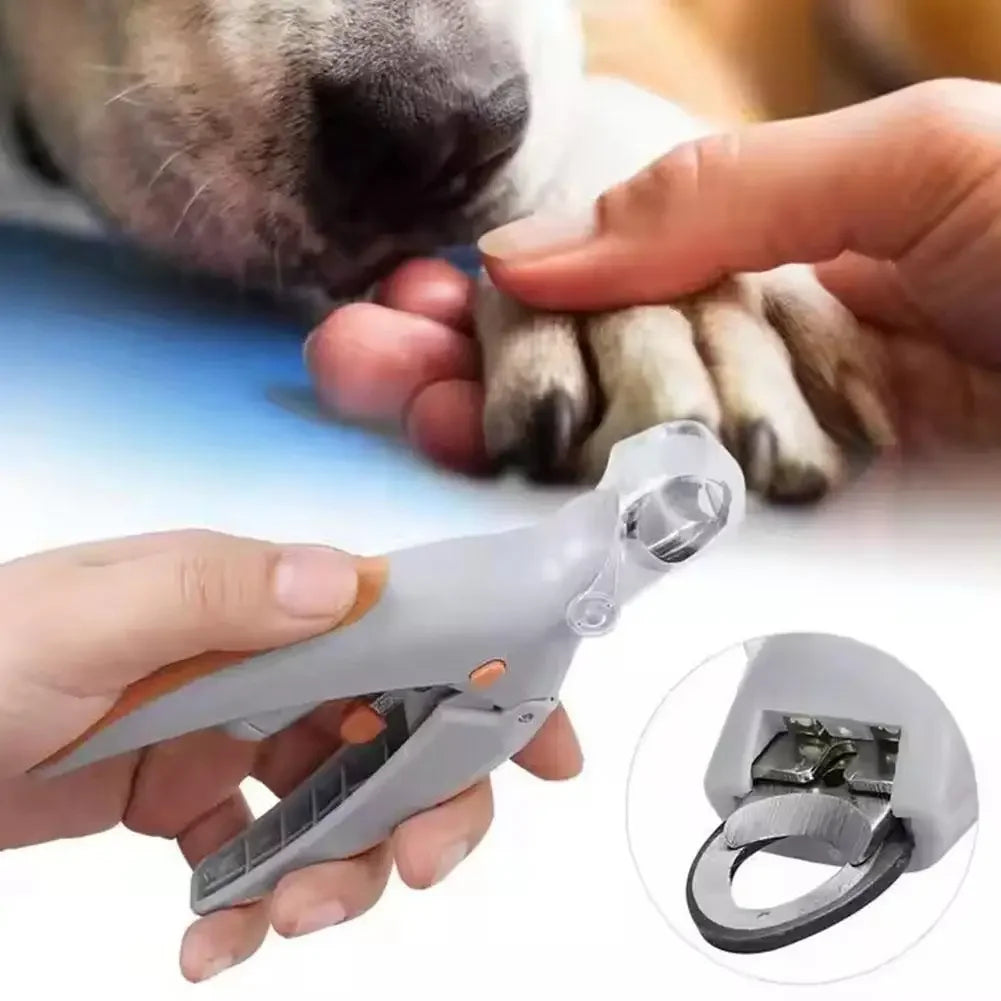 Professional Pet Nail Clipper Scissors With LED Light Cat Dog Nail Clippers Tool Scissors Nail Toeclaw Cutter Scissors Pet Suppl