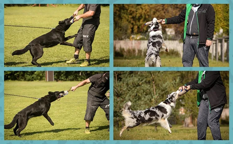 Training dogs to use coarse jute chew sticks to pick up molars, dog chew sticks, German shepherd dog chew pillows